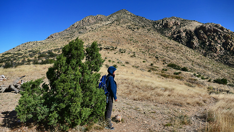 Organ Mountains [Organ Mountains National Recreation Area] - Baylor Pass