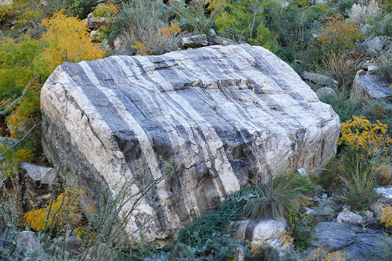 Bear Canyon - Seven Falls [Coronado National Forest]