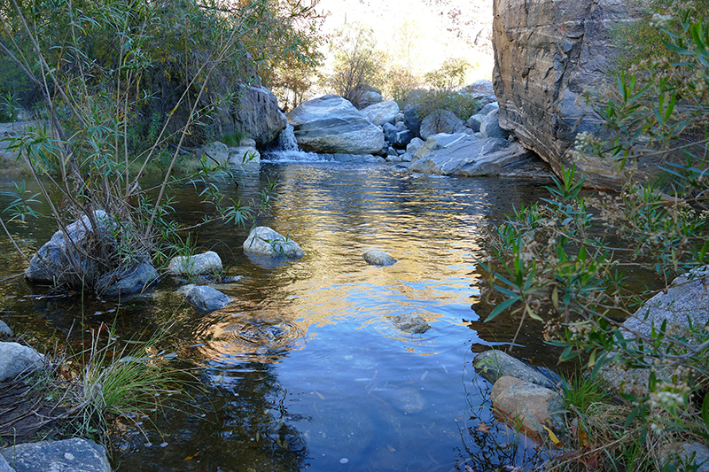 Bear Canyon Seven Falls Coronado National Forest