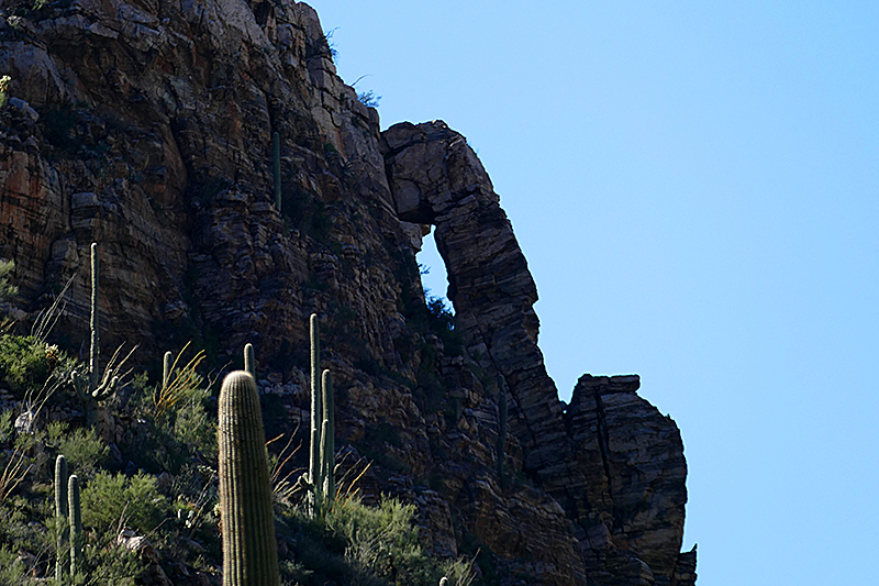 Bear Canyon - Seven Falls [Coronado National Forest]