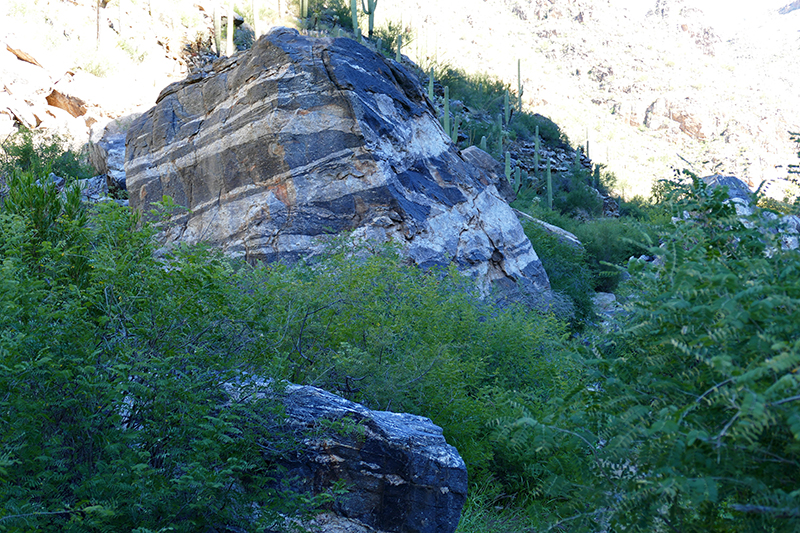 Bear Canyon Seven Falls Coronado National Forest