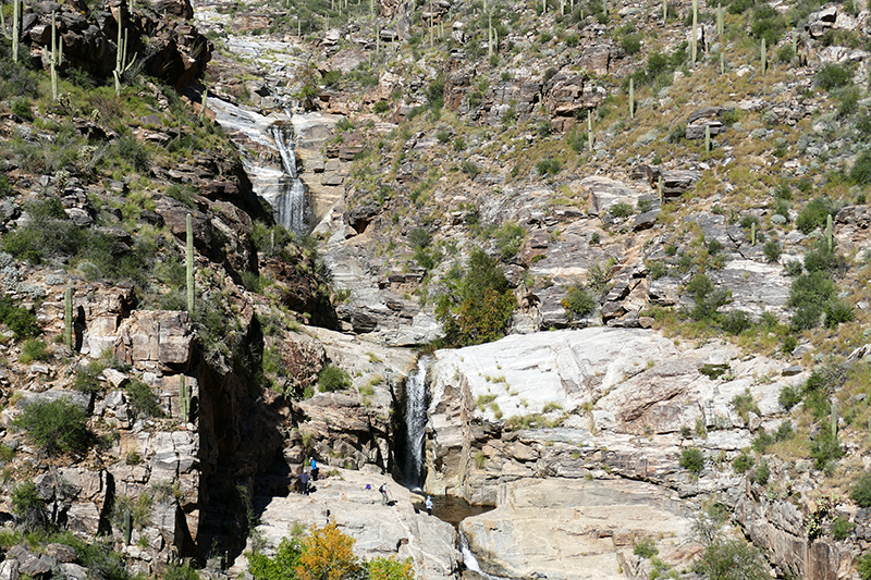 Bear Canyon Seven Falls Coronado National Forest