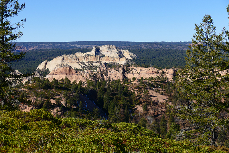 Bears Ears National Monument - Manti La Sal National Forest