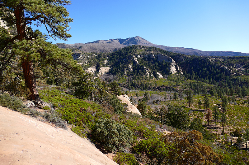 Bears Ears National Monument - Manti La Sal National Forest