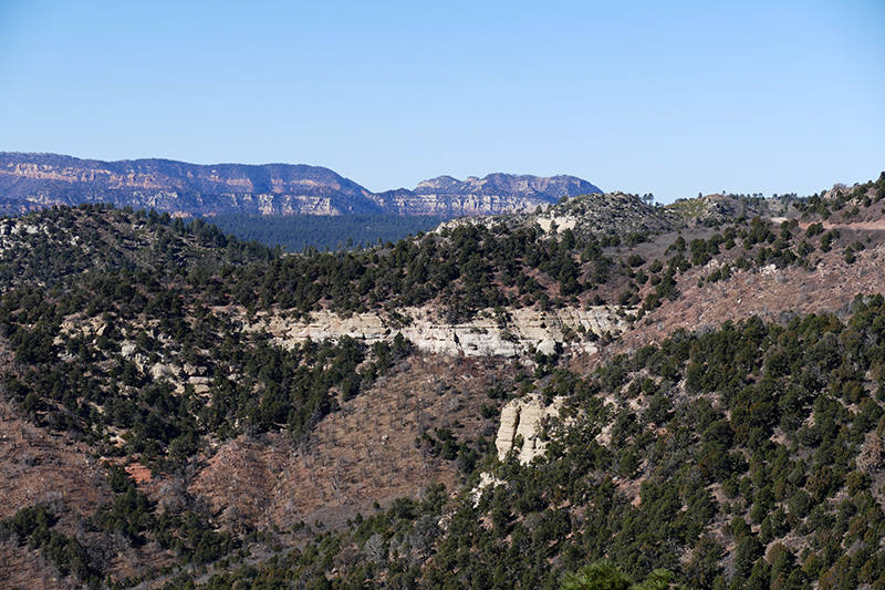 Bears Ears National Monument - Manti La Sal National Forest