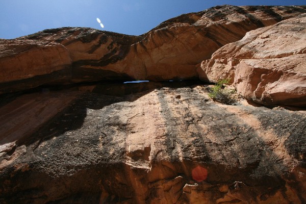 Lavender Canyon