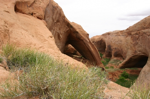 Bement Arch