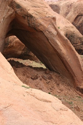 Bement Arch