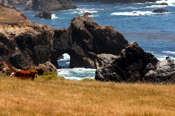 Big Sur Arch I