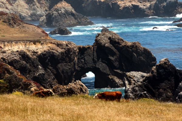 Big Sur Arch I