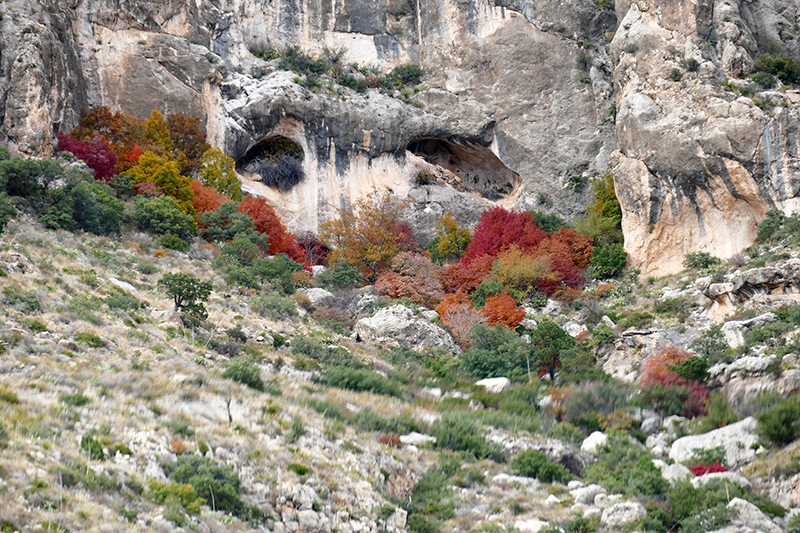 Smith Spring Guadalupe Mountains