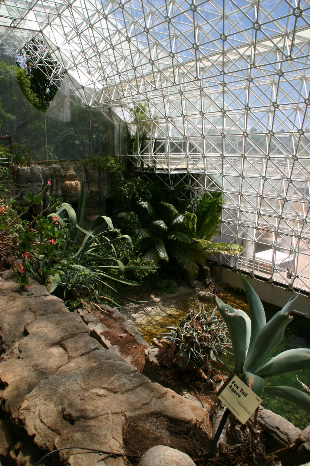 Biosphere 2