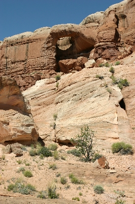 Birthday Arch