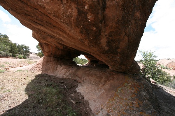 Biscuit Arch