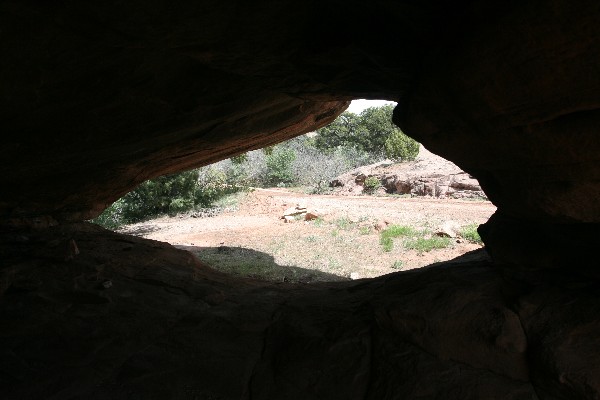 Biscuit Arch