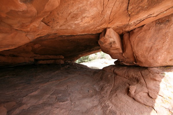 Biscuit Arch