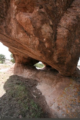 Biscuit Arch