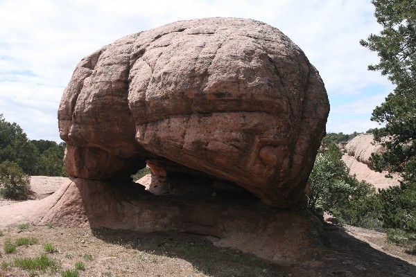 Biscuit Arch