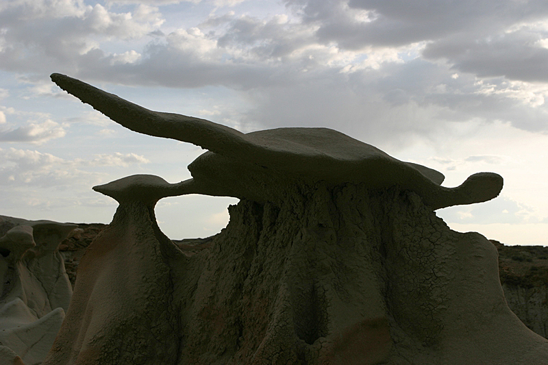 Bisti Wilderness North Unit