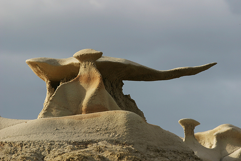 Bisti Wilderness North Unit