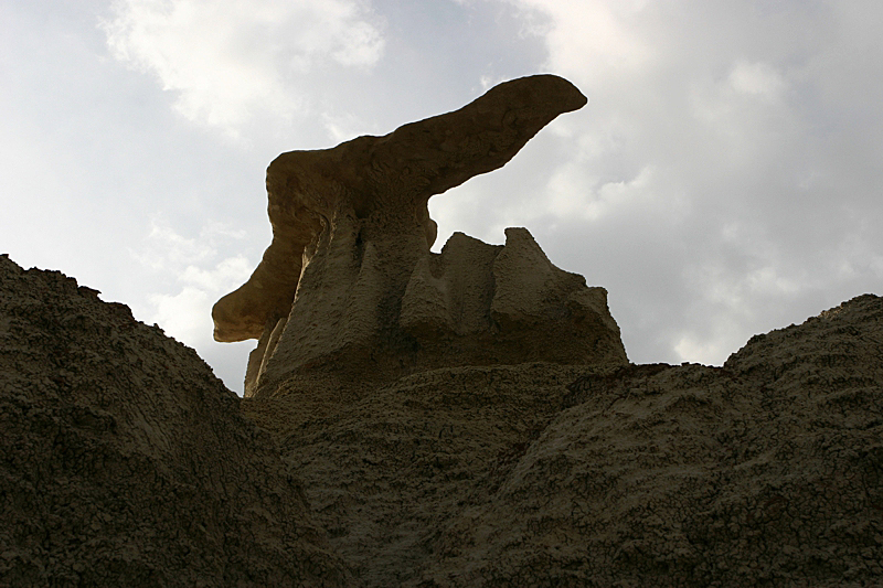 Bisti Wilderness North Unit