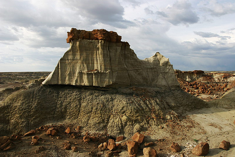 Bisti Wilderness North Unit