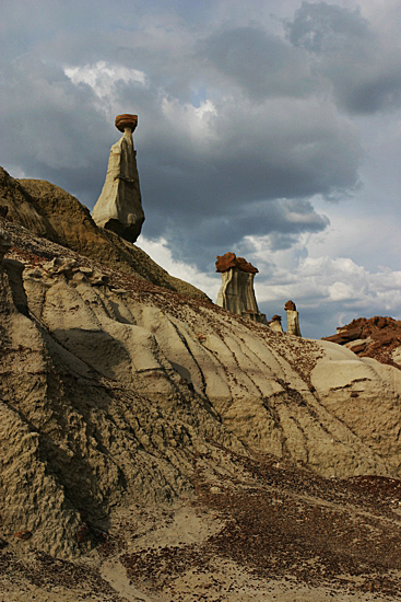 Bisti Wilderness North Unit