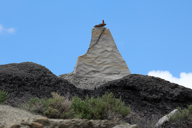 Bisti Wilderness