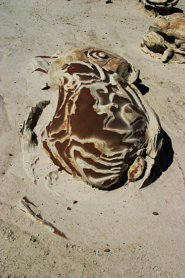 Bisti Wilderness South Unit