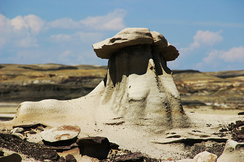 Bisti Wilderness South Unit