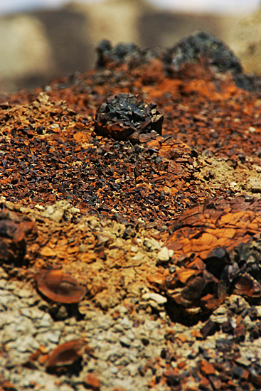 Bisti Wilderness South Unit