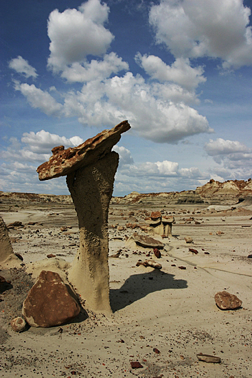 Bisti Wilderness South Unit