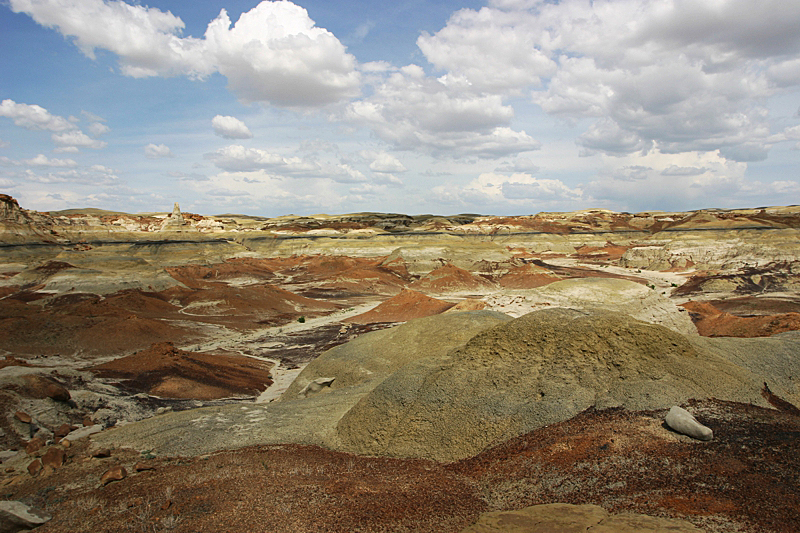 Bisti Wilderness South Unit