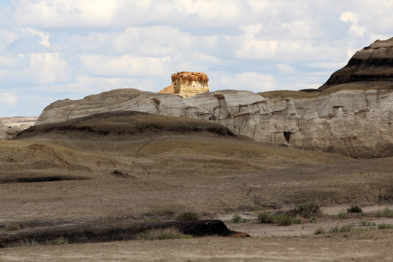 Bisti Wilderness [South- und North-Unit - San Juan Basin]