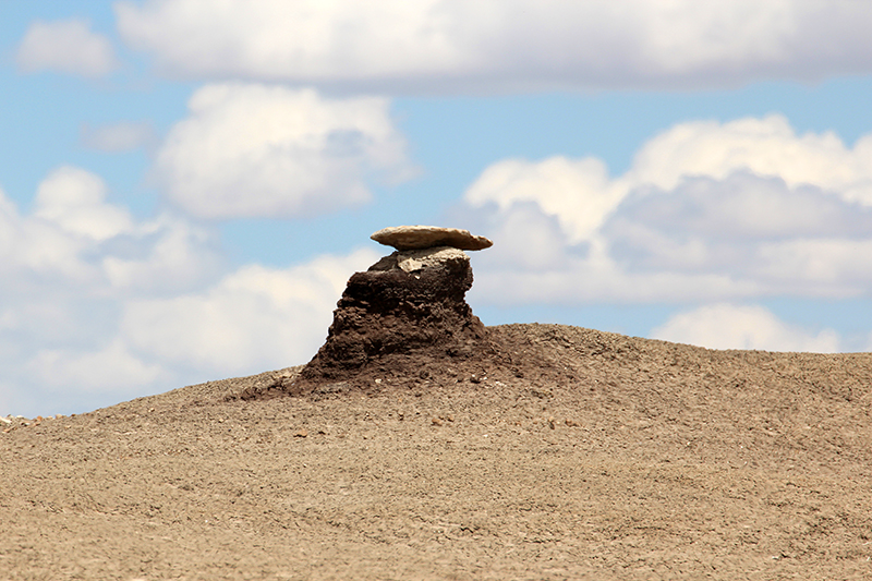 Bisti Wilderness South Unit