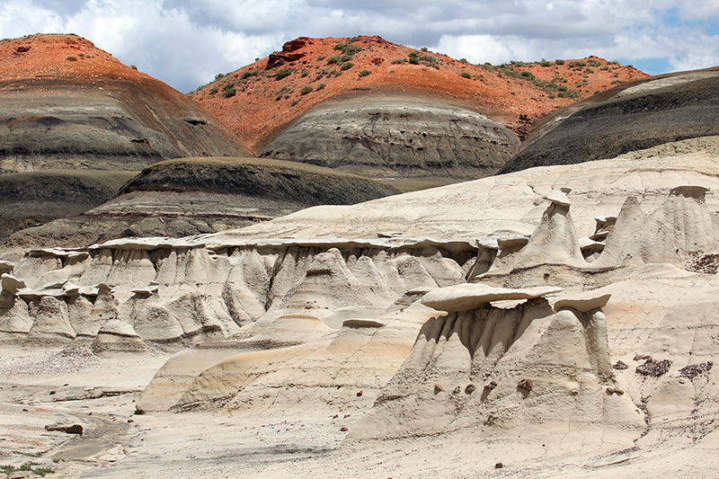 Bisti Wilderness South Unit