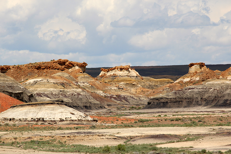 Bisti Wilderness South Unit