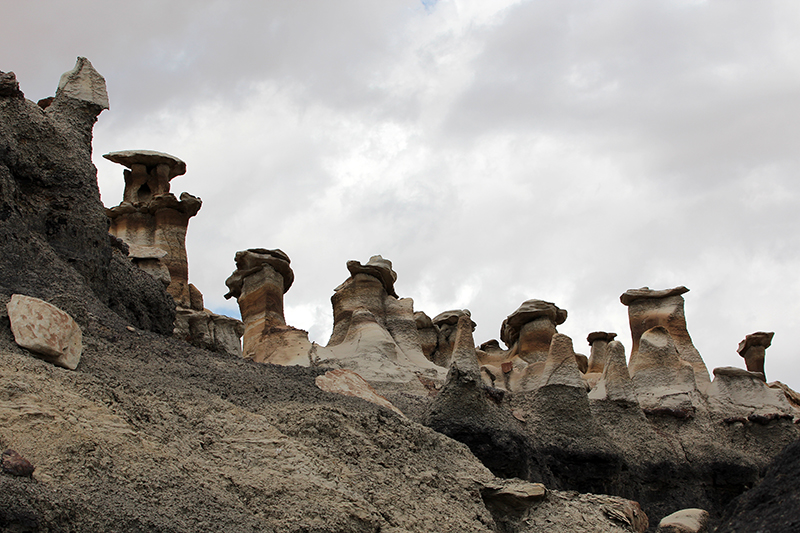 Bisti Wilderness South Unit