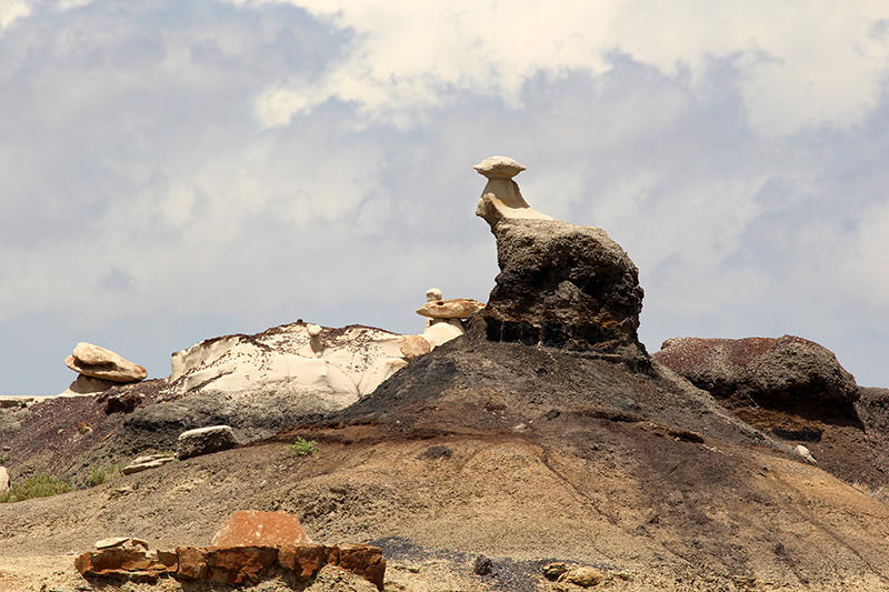 Bisti Wilderness South Unit