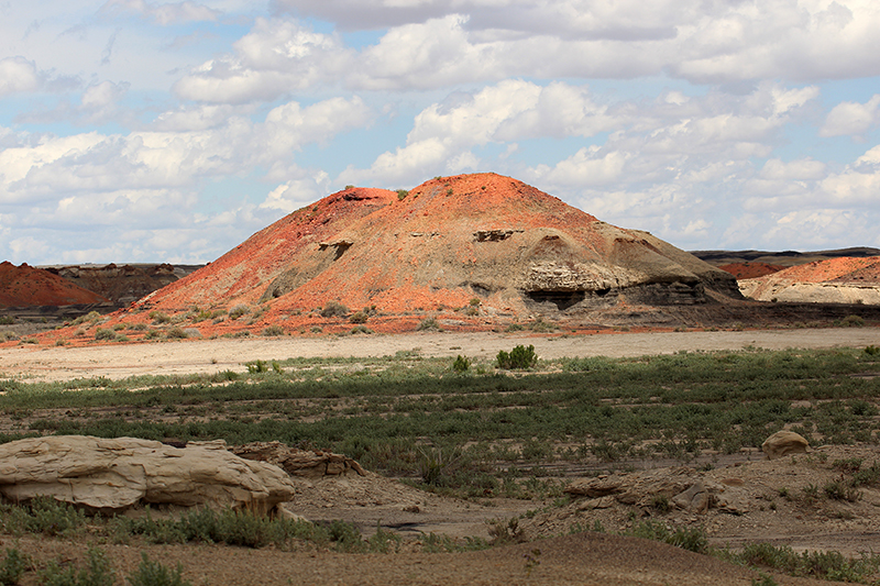 Bisti Wilderness South Unit