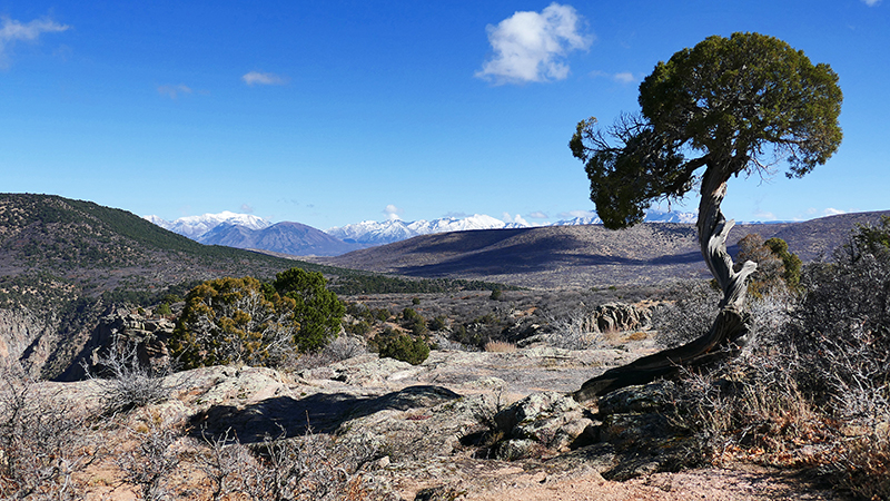 Black Canyon of the Gunnison National Park