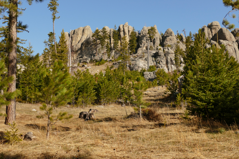 Bilder Black Elk Peak aka. Harney Peak Trail [Black Hills - South Dakota Highpoint] - Pictures Black Elk Peak aka. Harney Peak Trail [Black Hills - South Dakota Highpoint]