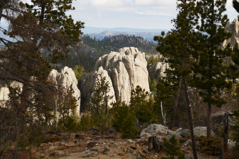 Bilder Black Elk Peak aka. Harney Peak Trail [Black Hills - South Dakota Highpoint] - Pictures Black Elk Peak aka. Harney Peak Trail [Black Hills - South Dakota Highpoint]