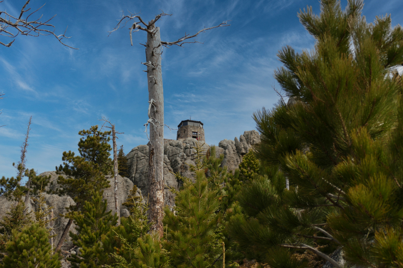 Bilder Black Elk Peak aka. Harney Peak Trail [Black Hills - South Dakota Highpoint] - Pictures Black Elk Peak aka. Harney Peak Trail [Black Hills - South Dakota Highpoint]