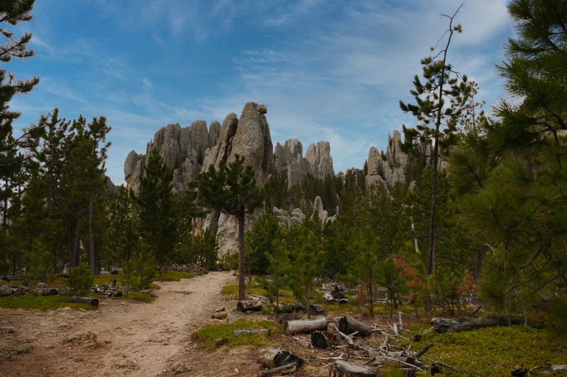 Bilder Black Elk Peak aka. Harney Peak Trail [Black Hills - South Dakota Highpoint] - Pictures Black Elk Peak aka. Harney Peak Trail [Black Hills - South Dakota Highpoint]