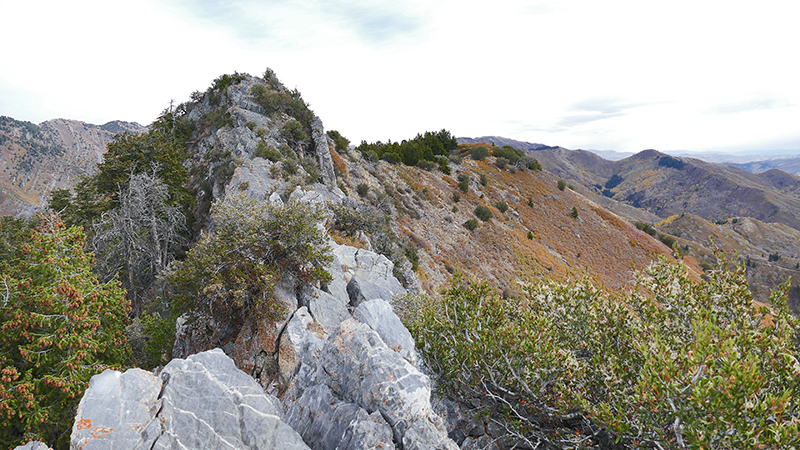 Black Mountain Salt Lake City Wasatch Range