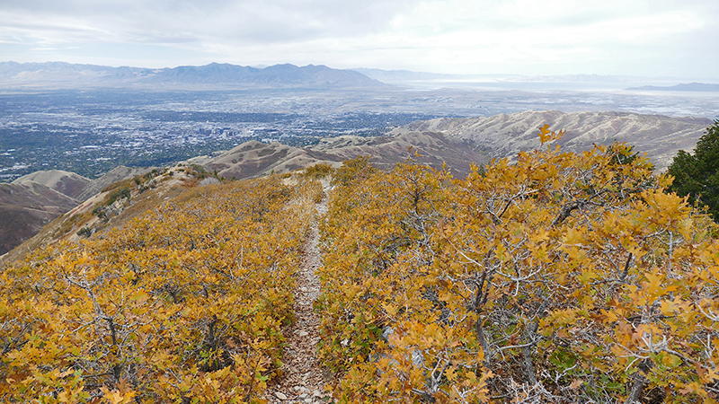 Black Mountain Salt Lake City [Wasatch National Forest]