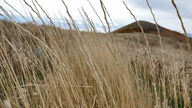 Black Mountain Salt Lake City [Wasatch National Forest]