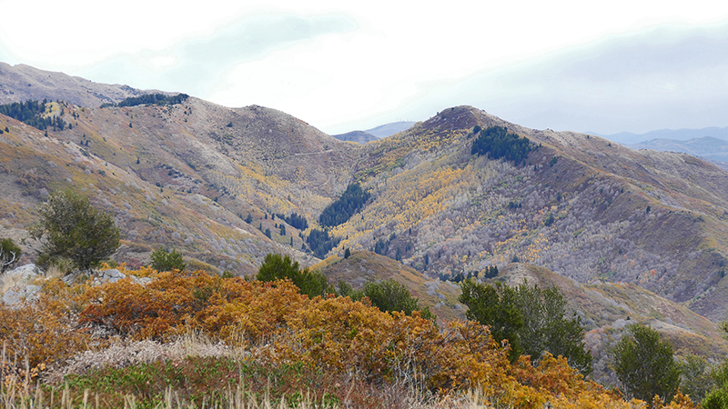 Black Mountain Salt Lake City [Wasatch National Forest]