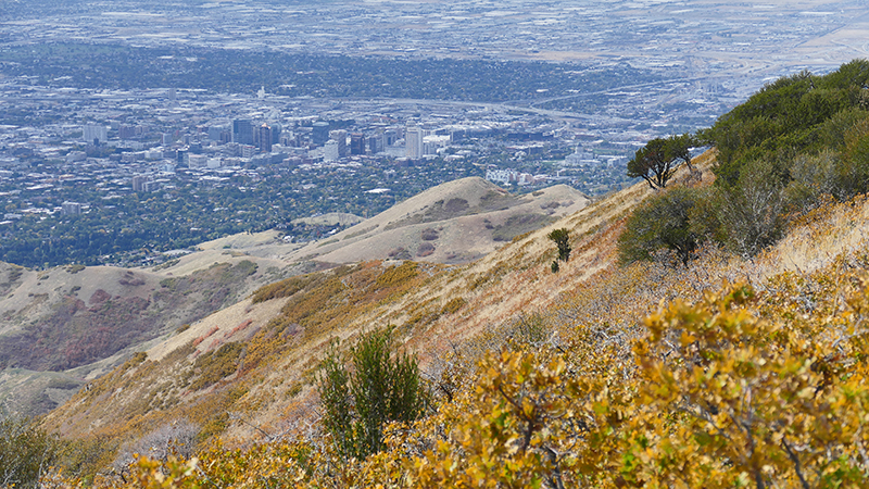 Black Mountain Salt Lake City [Wasatch National Forest]